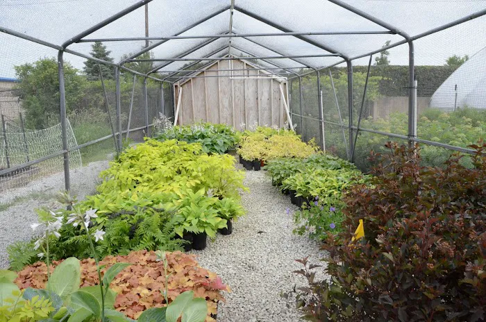 Art's Landscaping & Irrigation Picture 2