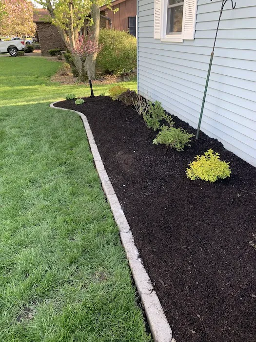 Villagomez lawn care & landscaping Picture 1
