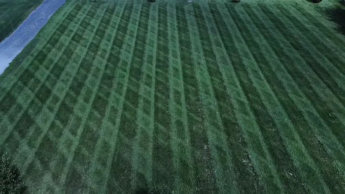 Quick Cuts Lawn Care Picture 6