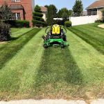 Quick Cuts Lawn Care