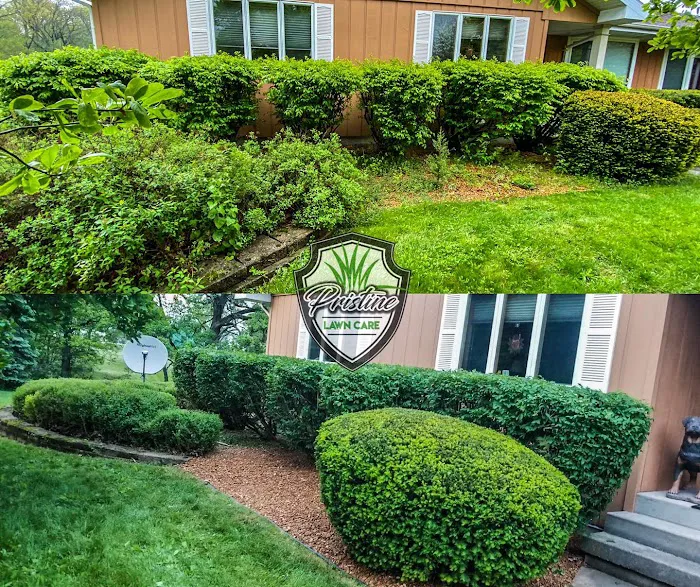 Pristine Lawncare LLC Picture 3
