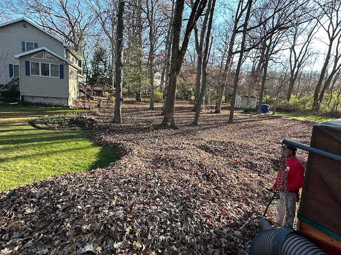 Pristine Lawncare LLC Picture 4