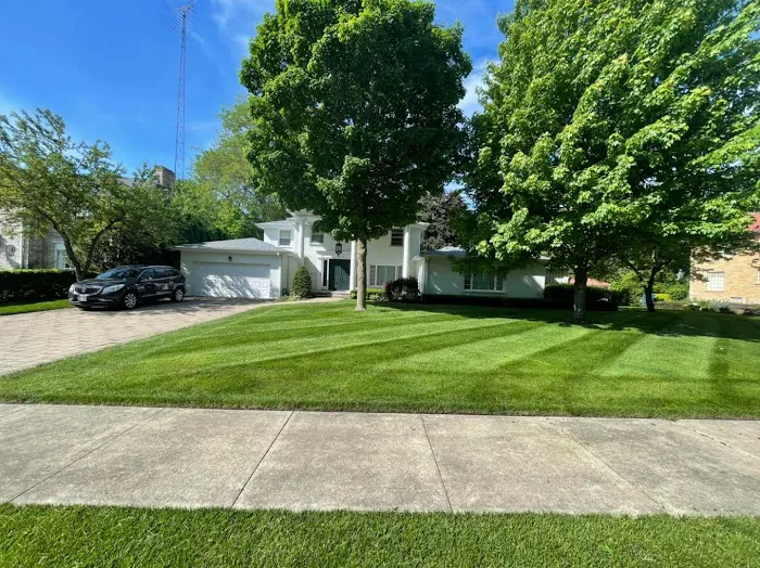 Pristine Lawncare LLC Picture 5