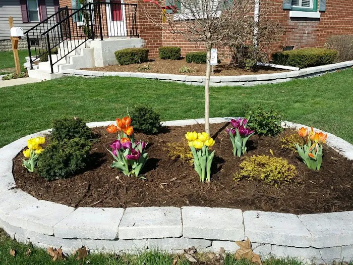 Affordable Lawn Care & Landscaping Picture 7