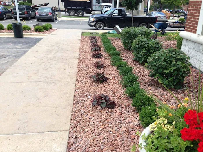 Affordable Lawn Care & Landscaping Picture 10