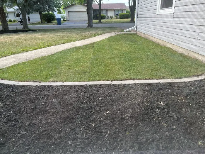 Camarena's Complete Lawn Care Picture 2