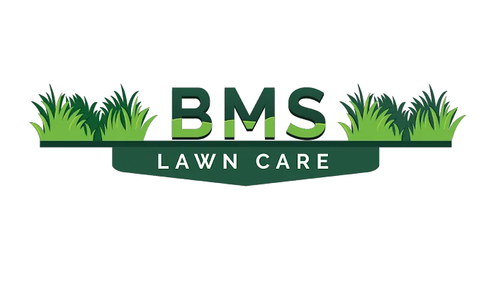BMS Lawn Care Picture 2