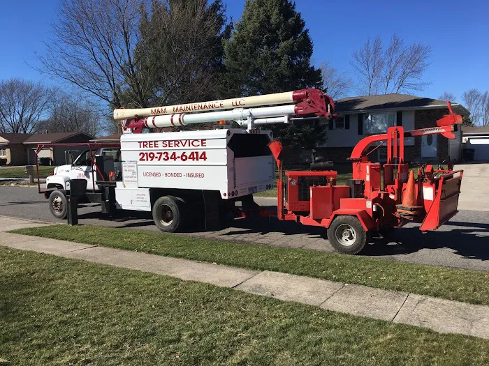 M & M Maintenance LLC Picture 1