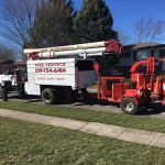 M & M Maintenance LLC