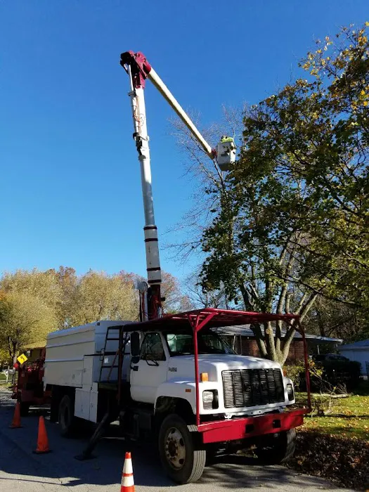 M & M Maintenance LLC Picture 2