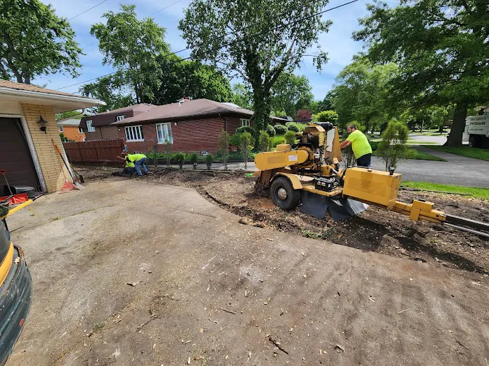M & M Maintenance LLC Picture 6