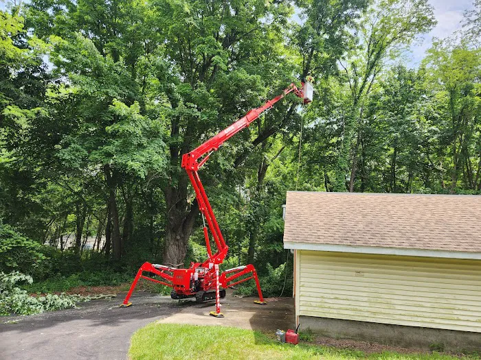 M & M Maintenance LLC Picture 5