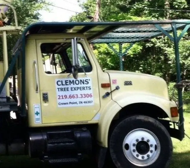 Clemons Tree Experts & Land Clearing Picture 8