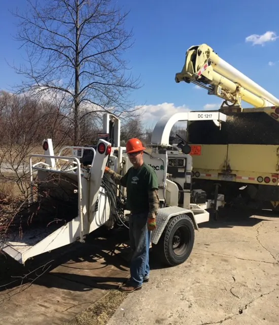 Clemons Tree Experts & Land Clearing Picture 6