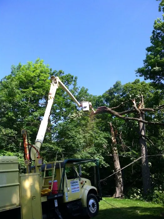 Clemons Tree Experts & Land Clearing Picture 7