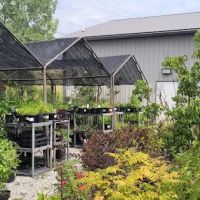 Allen's Lawn Care Landscape & Garden Center ico