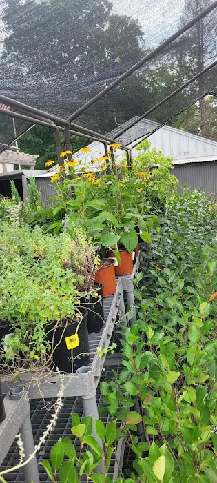 Allen's Lawn Care Landscape & Garden Center Picture 9