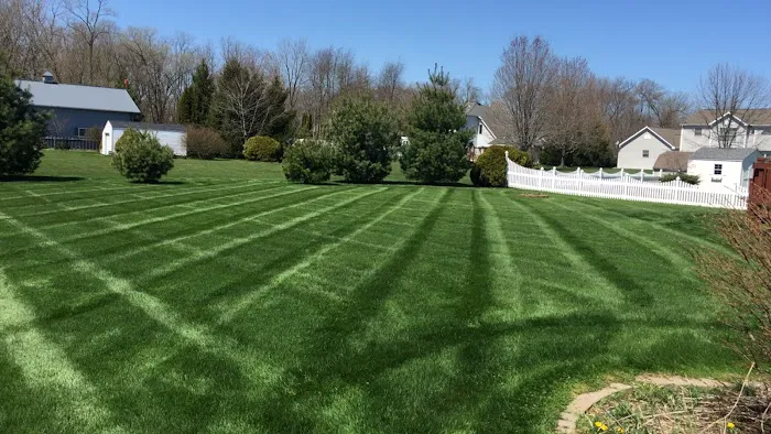 Imagine Landscapes, LLC Picture 5