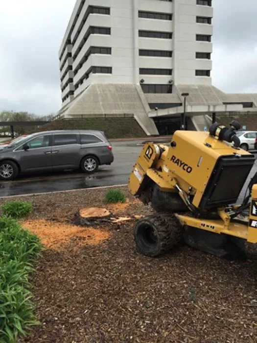 Quality Stump Grinding & Landscape Services, LLC Picture 9