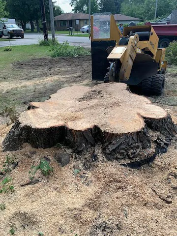 Quality Stump Grinding & Landscape Services, LLC Picture 1