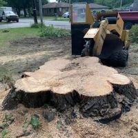 Quality Stump Grinding & Landscape Services, LLC ico