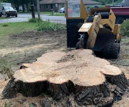 Quality Stump Grinding & Landscape Services, LLC
