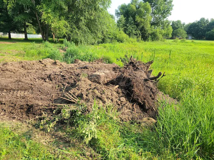 Quality Stump Grinding & Landscape Services, LLC Picture 5