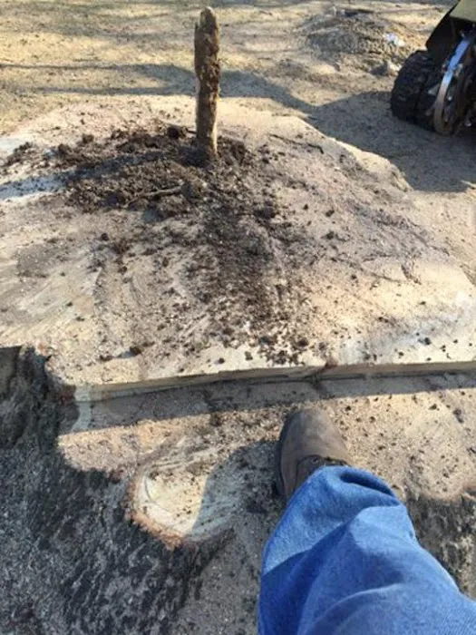 Quality Stump Grinding & Landscape Services, LLC Picture 8