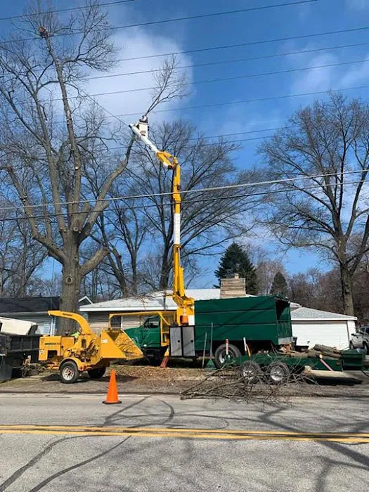 Quality Stump Grinding & Landscape Services, LLC Picture 10