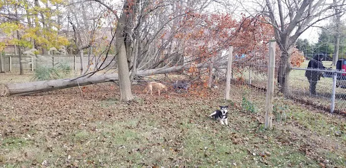 David's Lawn Care, Inc. Picture 1
