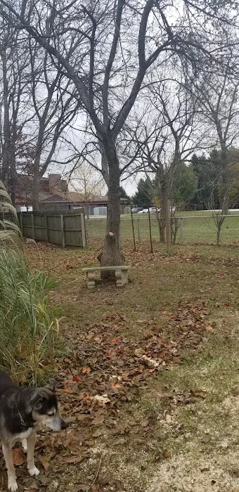 David's Lawn Care, Inc. Picture 2