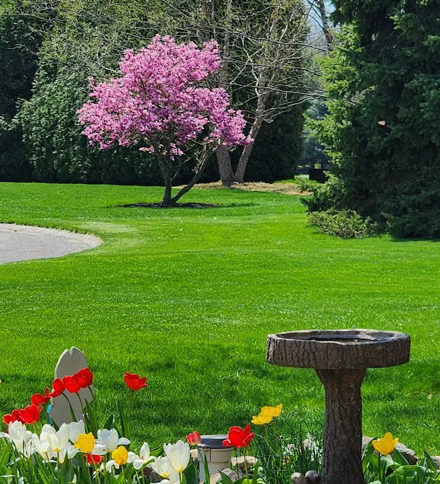 David's Lawn Care, Inc. Picture 5