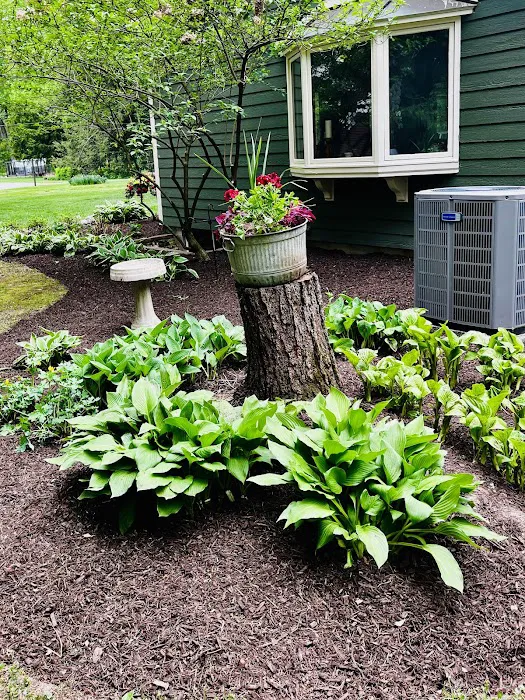 Vega's Landscaping Picture 10