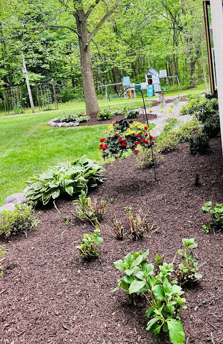 Vega's Landscaping Picture 5