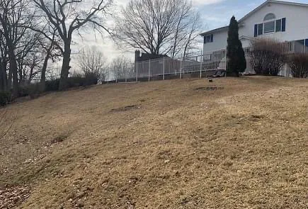 Vega's Landscaping Picture 3