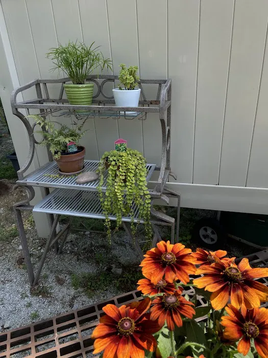 Horses Landscape & Garden Center Picture 5
