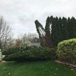 Horses Landscape & Garden Center