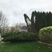 Horses Landscape & Garden Center ico