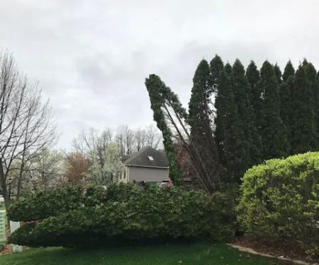 Horses Landscape & Garden Center