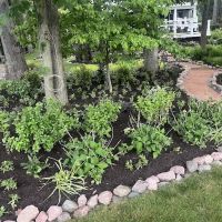 Ricci's Landscape Management, Inc. ico