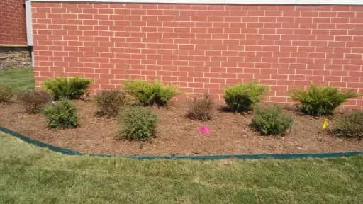 Armadillo Landscape Services, Inc. Picture 10