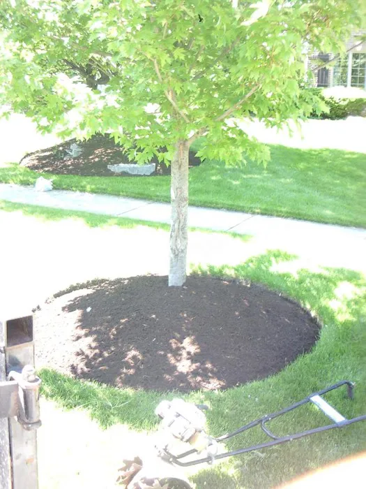Breezes Landscaping Picture 9