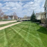 Green Hill Landscaping LLC ico