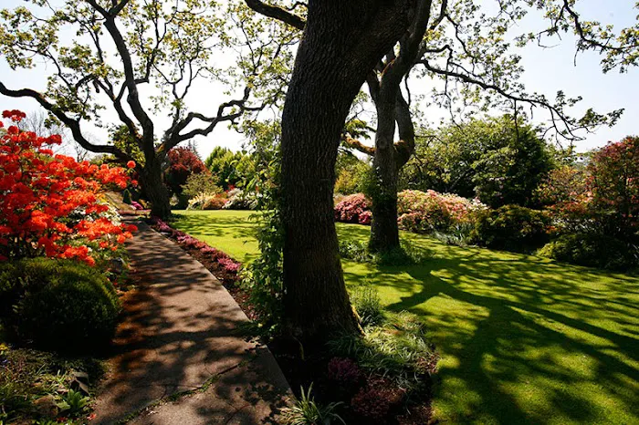 Schollmeyer Landscaping, Inc. Picture 1