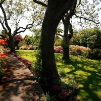Schollmeyer Landscaping, Inc. ico