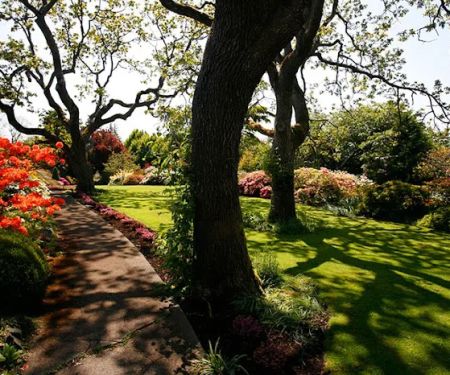 Schollmeyer Landscaping, Inc.