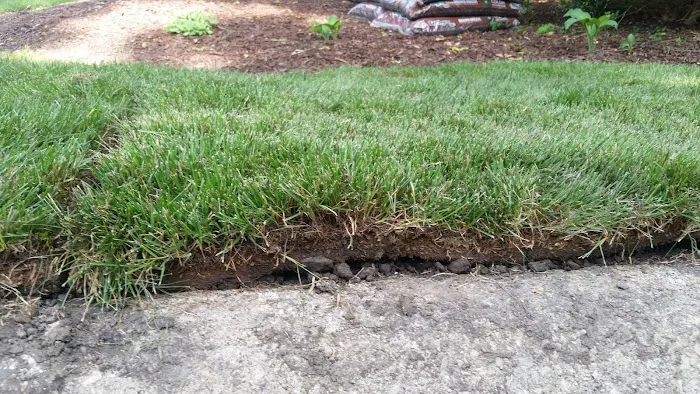 Schollmeyer Landscaping, Inc. Picture 3