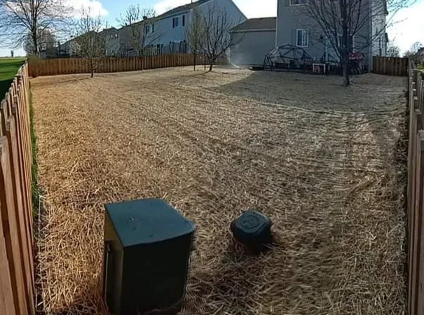 Tinajero Lawn Care & Maintenance Inc. Picture 5