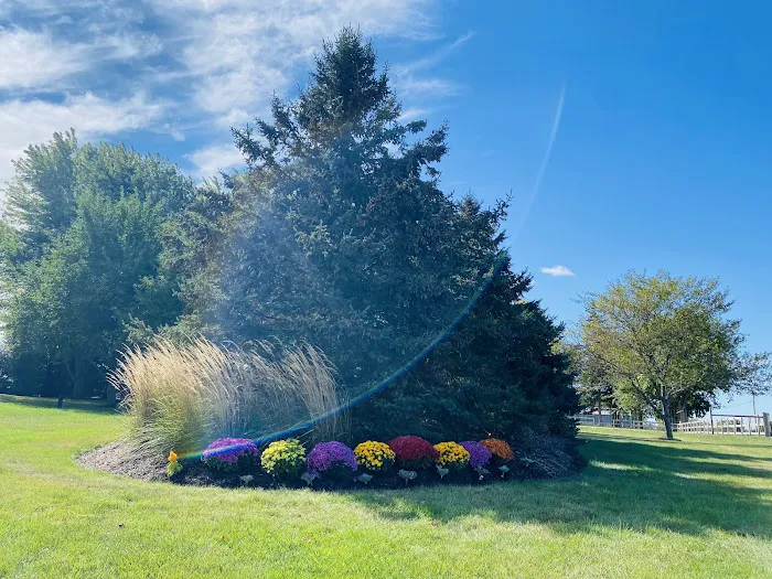 Tinajero Lawn Care & Maintenance Inc. Picture 9