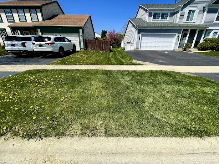 Village Green Lawncare Picture 7